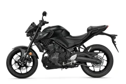 MT 03
