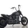 SOFTAIL FXDR 114