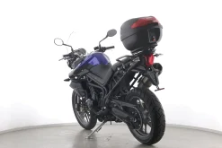 TIGER 800
