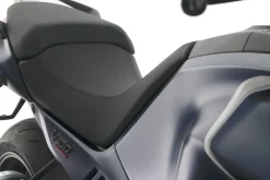 V100 MANDELLO