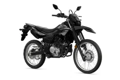WR 125 R