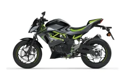 Z 125 2026