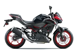Z 500 SE