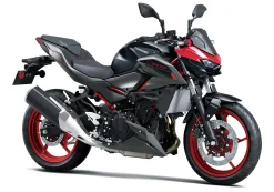 Z 500 SE